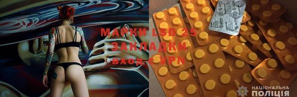 ПСИЛОЦИБИНОВЫЕ ГРИБЫ Покров