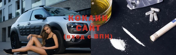 мдпв Дмитровск