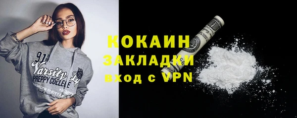 мдпв Дмитровск