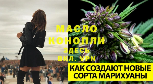шишки Елабуга