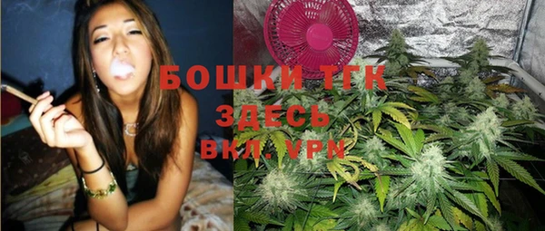 мдпв Дмитровск